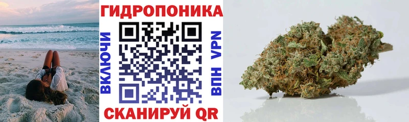 МАРИХУАНА гибрид  купить наркоту  Пустошка 